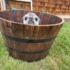 strange_range